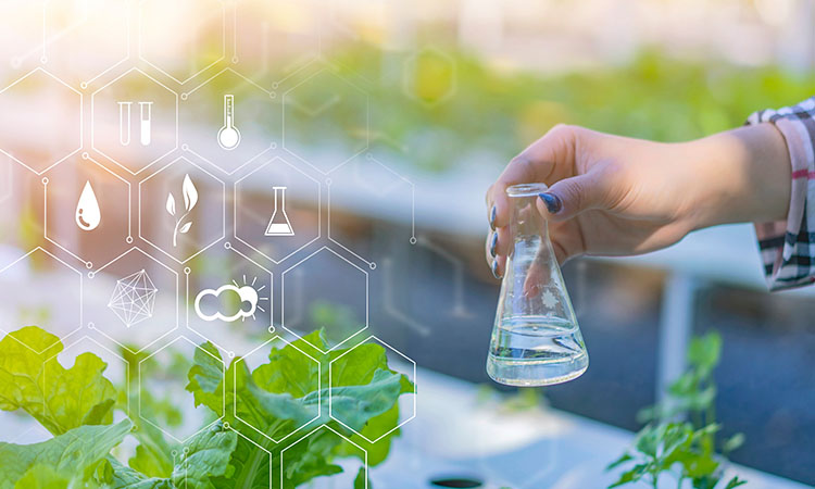 三次電解、磁化工藝