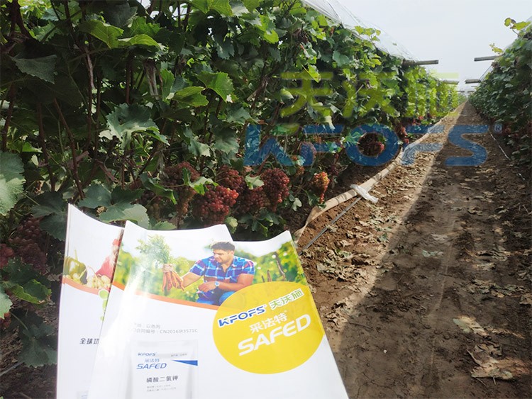 磷酸二氫鉀為什么都說粉劑的好？