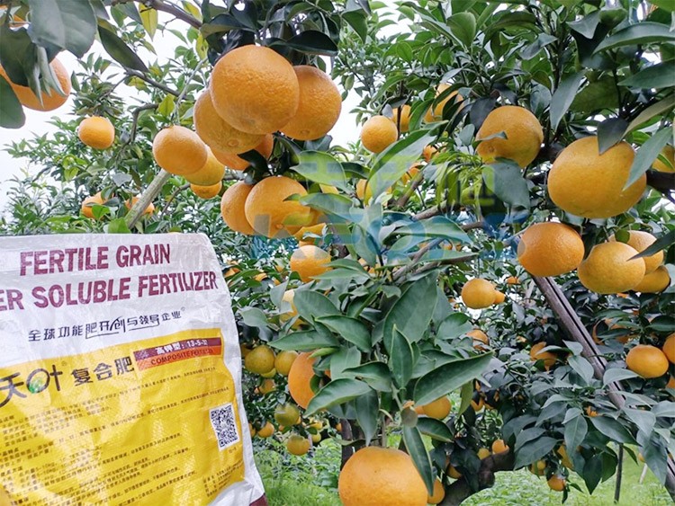 柑橘膨果轉色期用什么水溶肥好？
