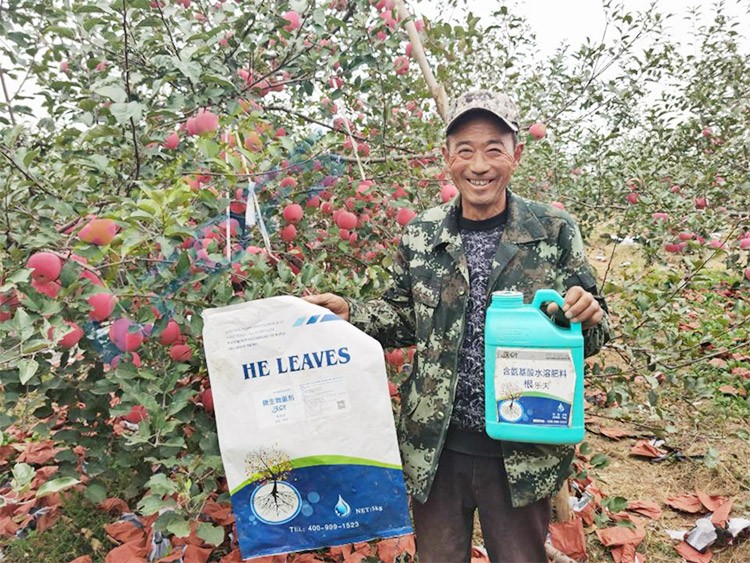 蘋果樹用什么生根肥好？看看這款！