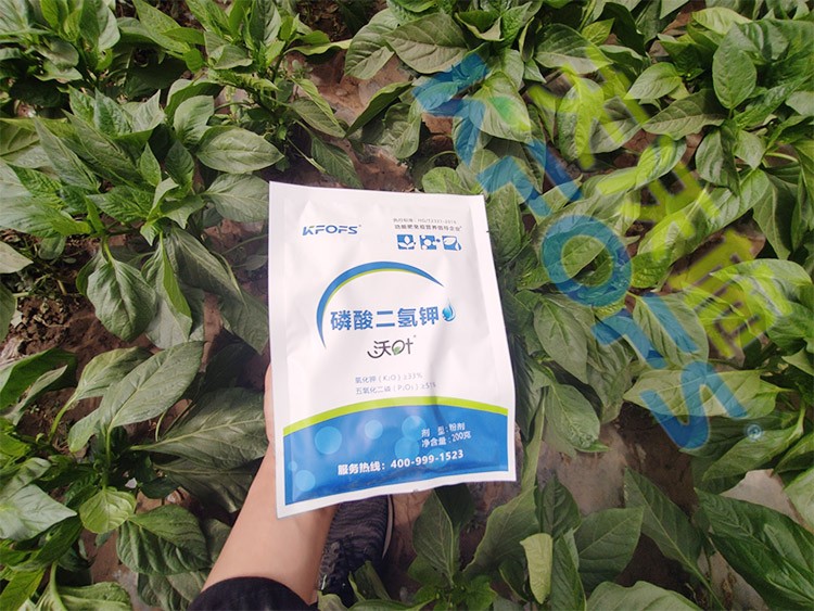 磷酸二氫鉀廠家，這家不要錯過！