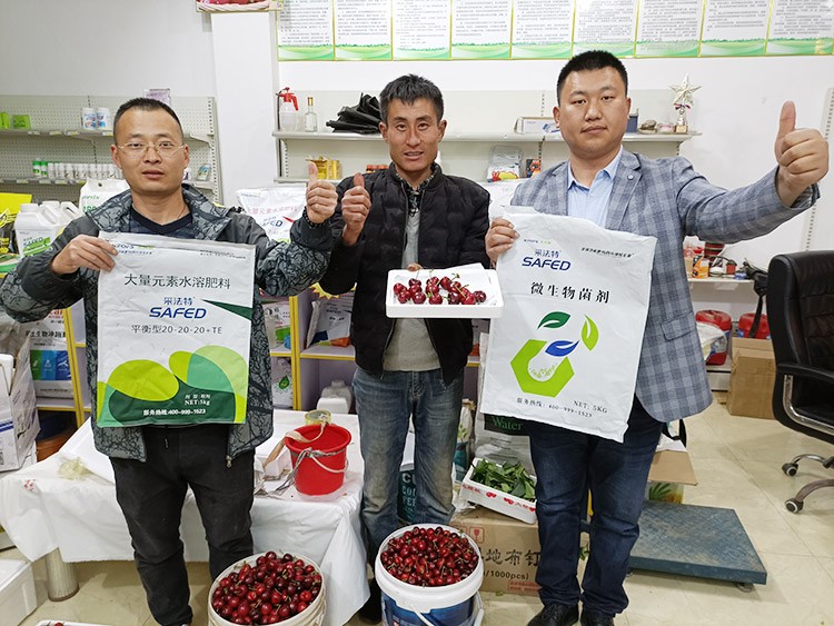 水溶肥哪家好？看完這篇不疑惑！