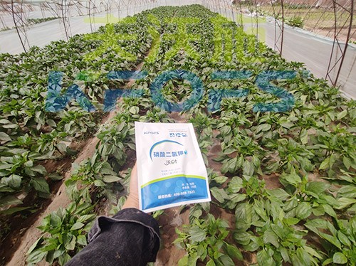 磷酸二氫鉀廠(chǎng)家，這家不要錯(cuò)過(guò)！