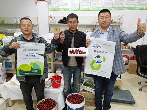 水溶肥哪家好？看完這篇不疑惑！