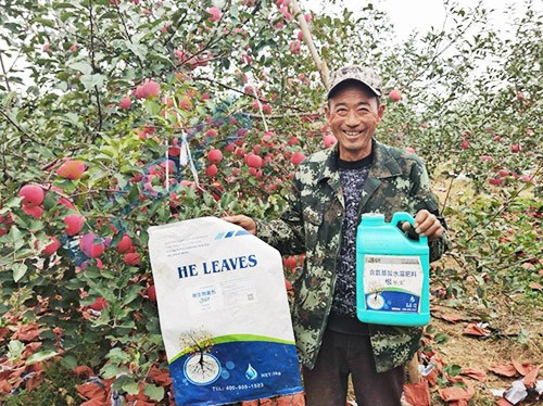 蘋(píng)果樹(shù)用什么生根肥好？看看這款！