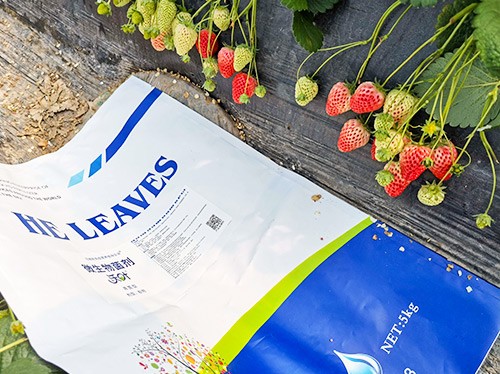 黃瓜養(yǎng)根肥料哪個(gè)好？