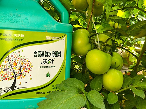 蔬菜沖施肥哪個品牌好？經(jīng)驗實談