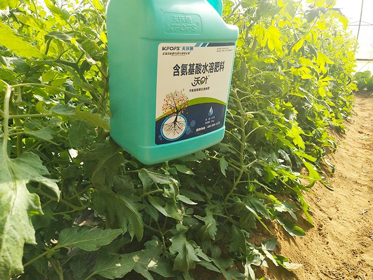 蔬菜沖施肥哪個品牌好？經(jīng)驗實談