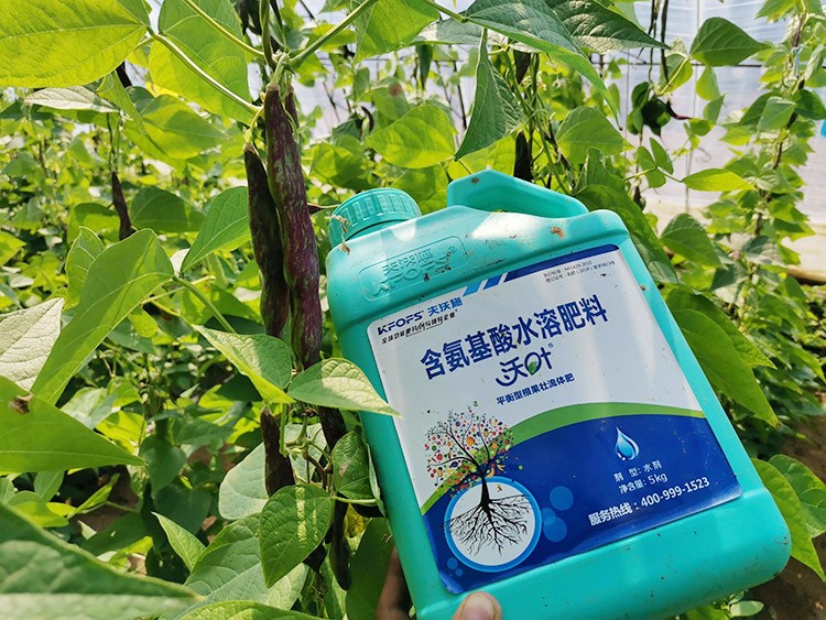 進(jìn)口水溶肥，懂行的人都這么選！