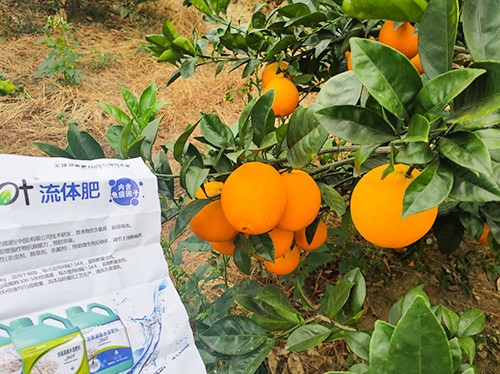 好的水溶肥是什么生產(chǎn)工藝？