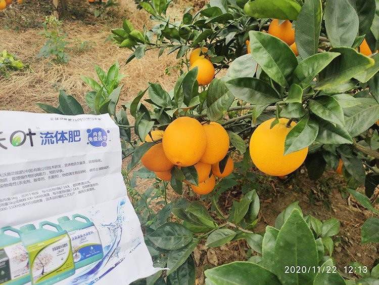 好的水溶肥是什么生產(chǎn)工藝？