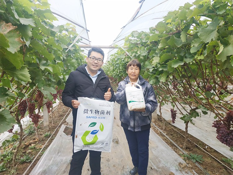 水溶肥廠家夫沃施都說好？好在哪？