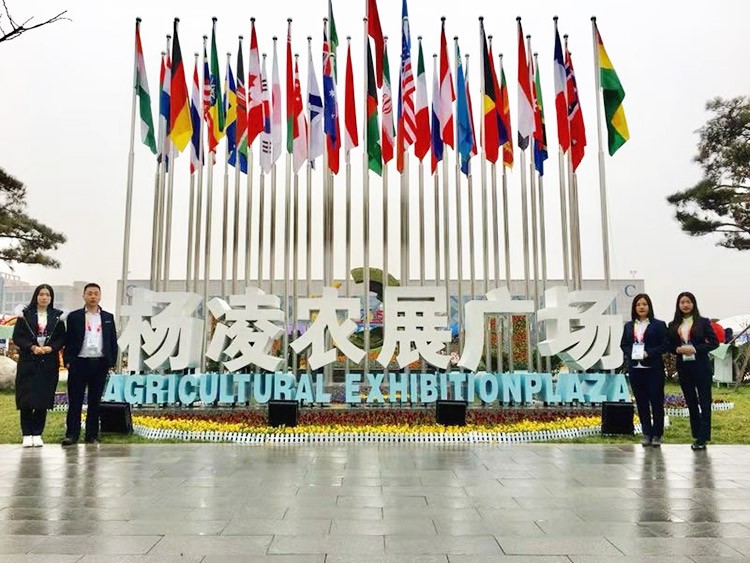 新時(shí)代背景下的楊凌農(nóng)高會(huì)，功能肥地位更凸顯