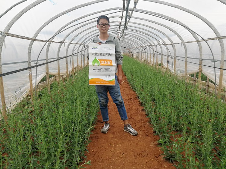 進(jìn)口水溶肥以色列的哪家好？