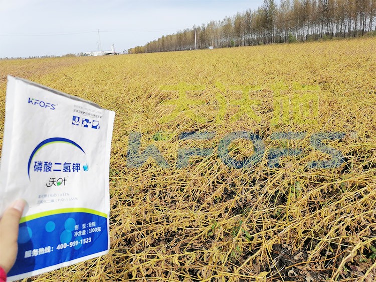 進(jìn)口磷酸二氫鉀不得不了解的一個(gè)品牌！