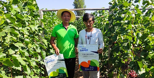 鈣肥什么品牌的比較好？