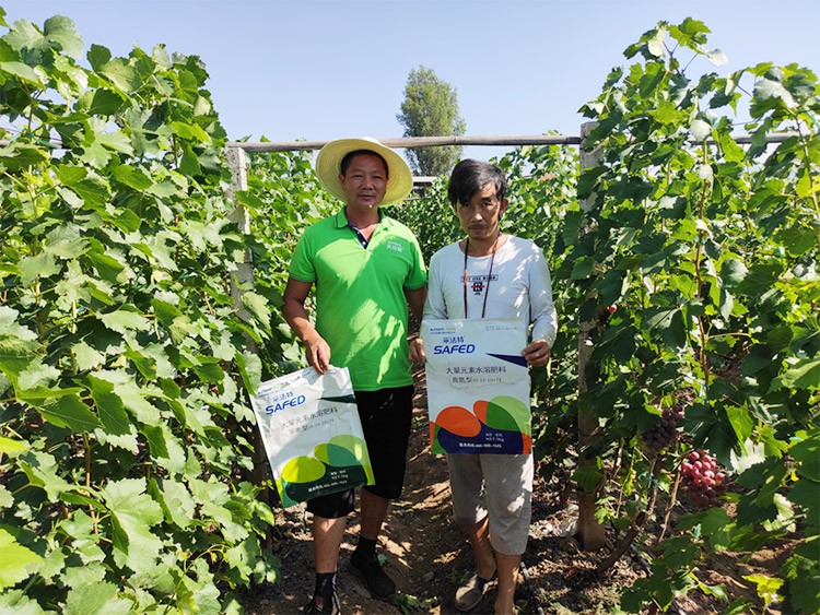 肥料廠家，有經(jīng)驗(yàn)的農(nóng)資人這樣選！