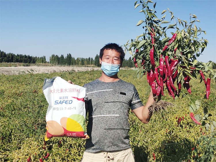 肥料廠家，有經(jīng)驗(yàn)的農(nóng)資人這樣選！