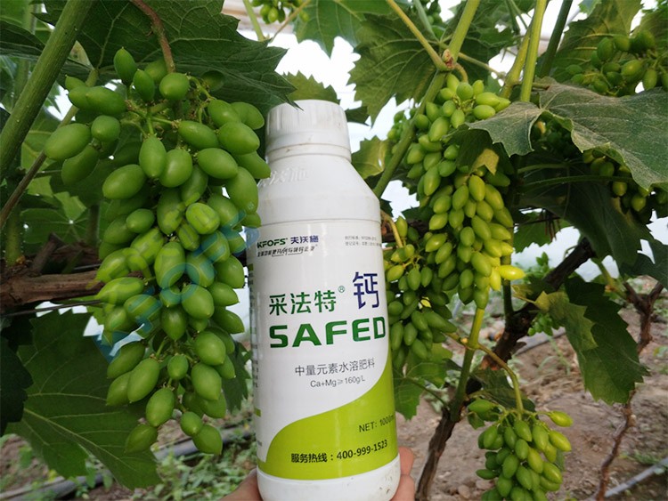 鈣肥什么品牌的比較好？