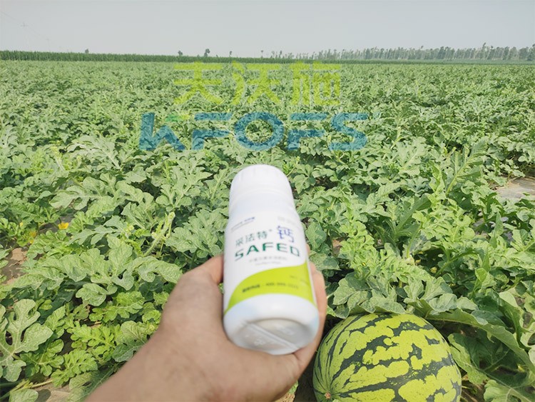 鈣肥什么品牌的比較好？