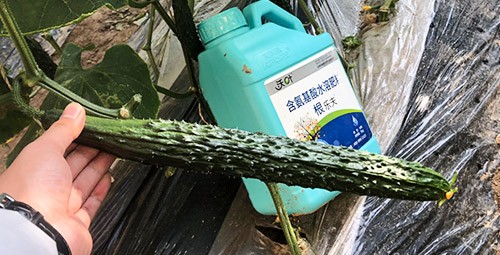 生根劑要安全不傷根，就選這個(gè)牌子！