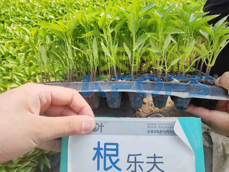 生根劑要安全不傷根，就選這個牌子！