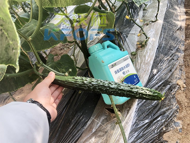 生根劑要安全不傷根，就選這個牌子！