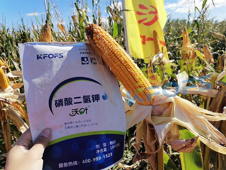 進(jìn)口磷酸二氫鉀哪個(gè)品牌好？