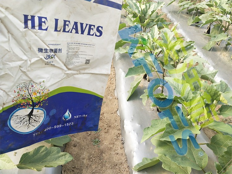 微生物菌劑怎么選擇好？