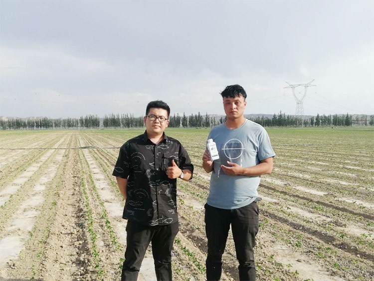 藥害還能恢復(fù)生長嗎？這篇告訴你！