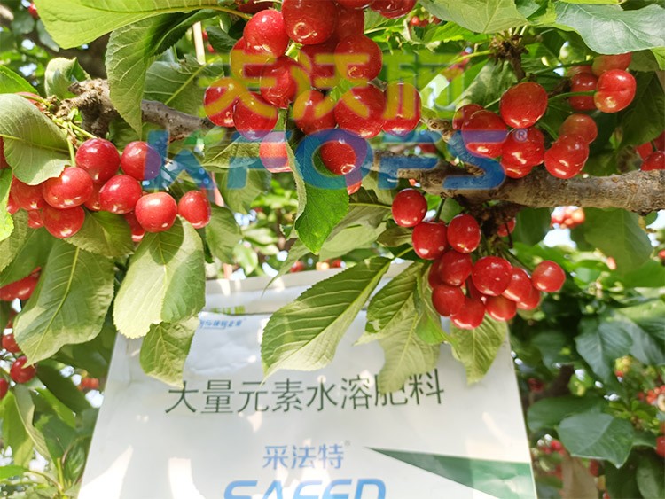 大量元素水溶肥為什么都說(shuō)進(jìn)口的好？