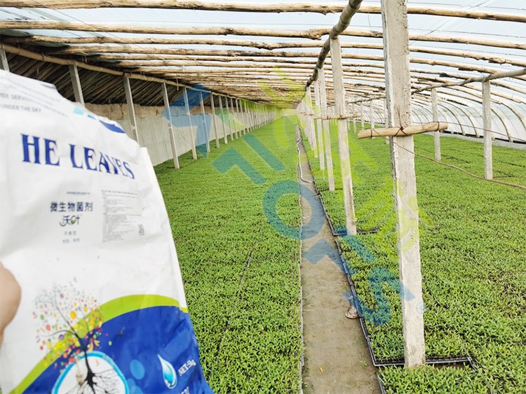 微生物菌劑廠家哪家好？