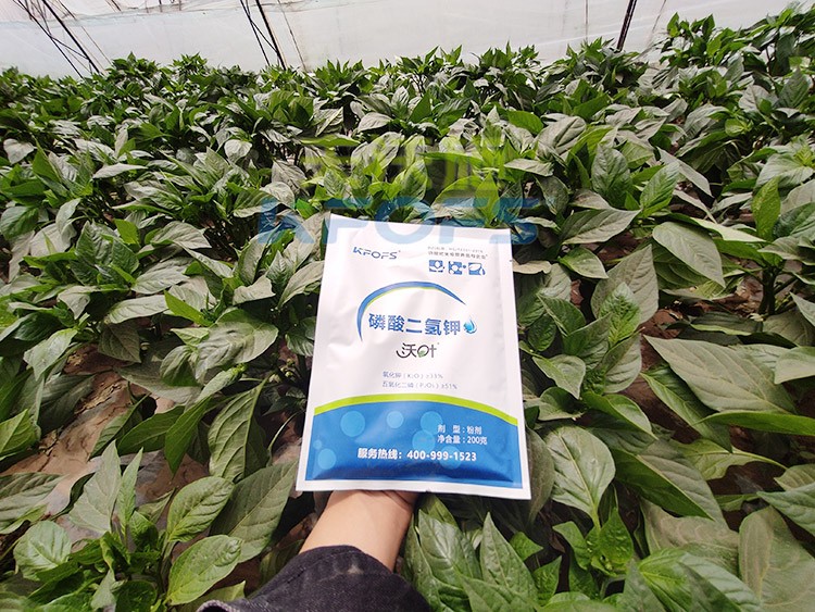 磷酸二氫鉀的正規(guī)廠家是什么樣的？