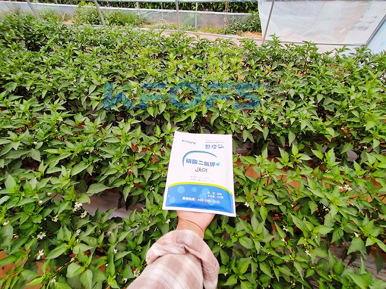 磷酸二氫鉀選這個品牌，不會錯！