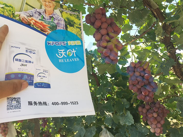 進(jìn)口磷酸二氫鉀和國(guó)產(chǎn)有什么區(qū)別？