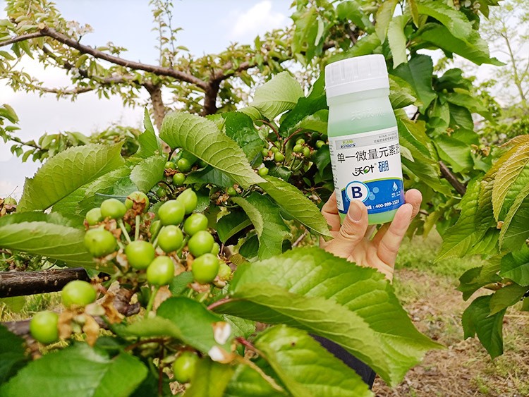 硼肥哪個(gè)品牌的好？這款不要錯(cuò)過！
