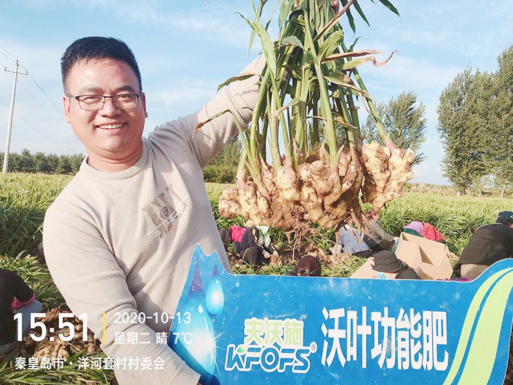 進(jìn)口水溶肥推薦你選沃葉，這就是原因！