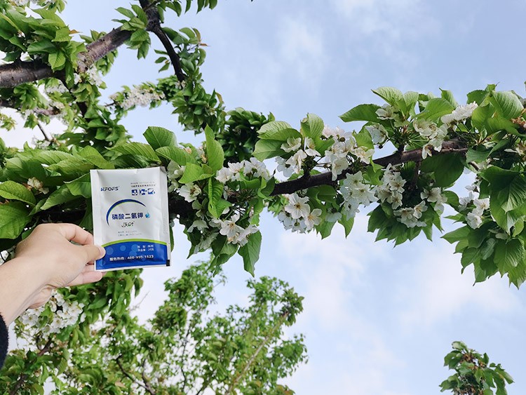 保花保果葉面肥，她就認(rèn)準(zhǔn)這個(gè)牌子！