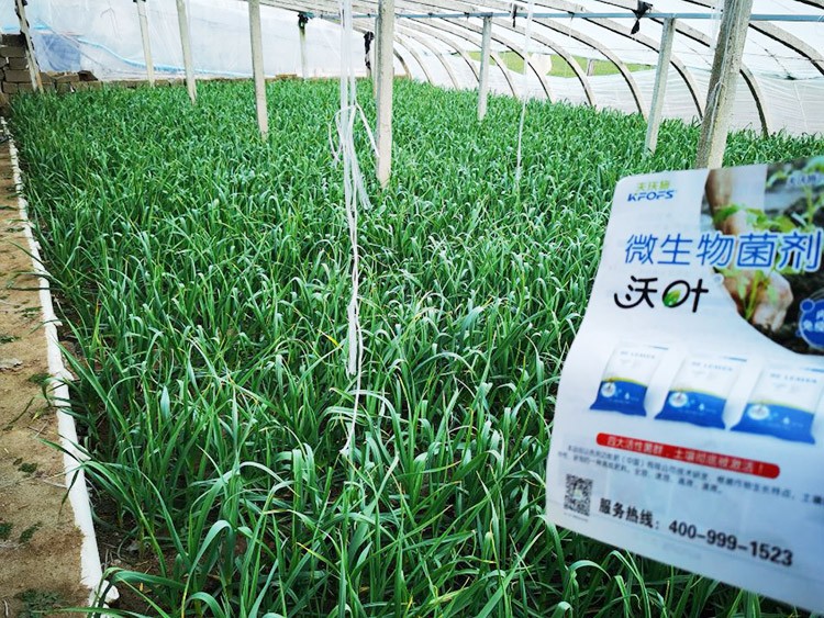 微生物菌劑選它，放心又舒心！