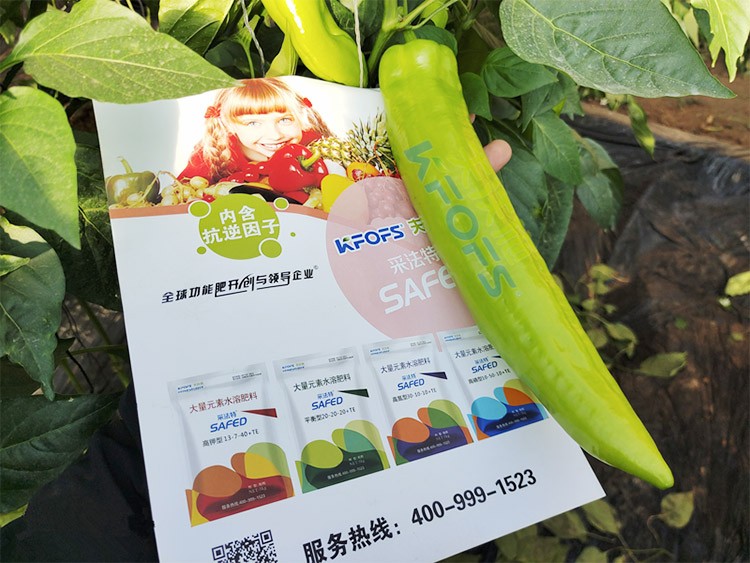 進(jìn)口水溶肥蔬菜上怎么用效果好？