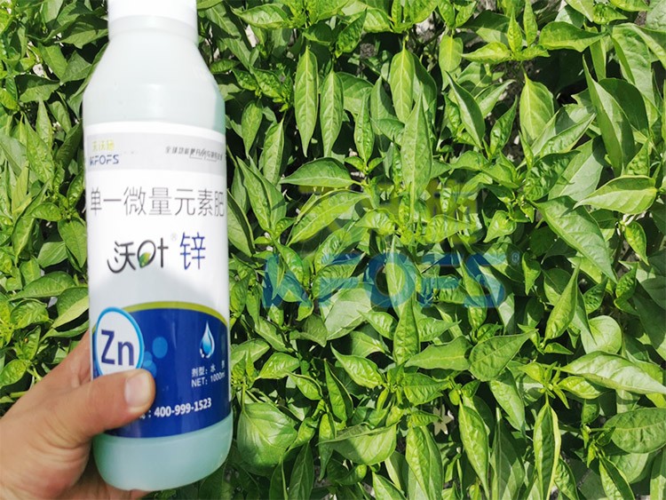 鋅肥是什么肥料？辣椒用有什么好處？