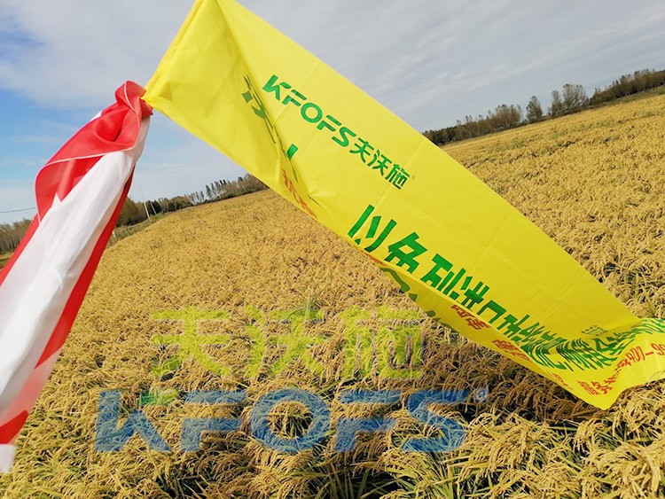 水稻用水溶肥，這三個方面的效果很明顯！