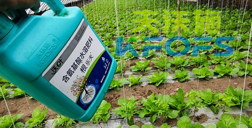 蔬菜用進(jìn)口水溶肥，有什么突出效果？