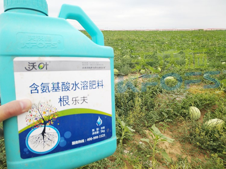 西瓜用什么進(jìn)口水溶肥好？