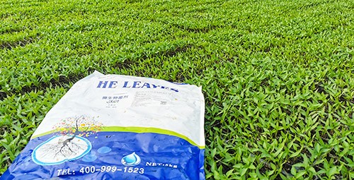 黃瓜用這樣的水溶肥，產(chǎn)量就是高！