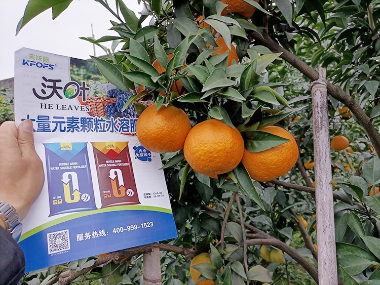 果樹水溶肥什么牌子好？