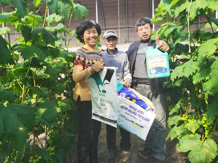 葡萄萌芽期管理技術(shù)在這里，值得收藏！