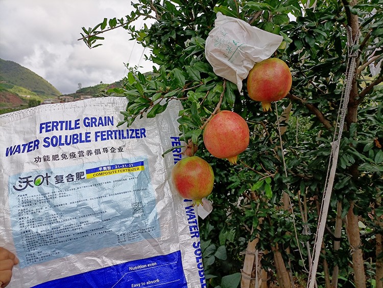 石榴施肥用什么肥料效果好？