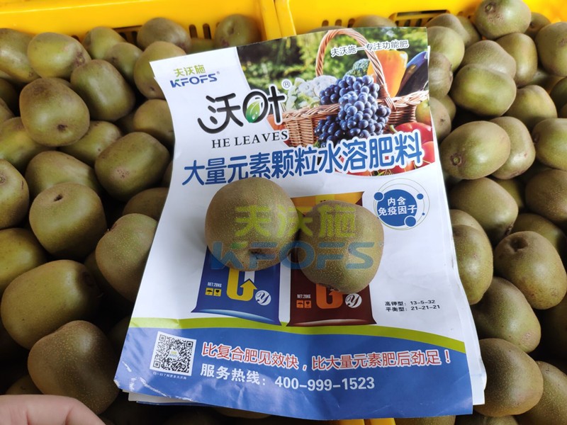 獼猴桃用哪款顆粒水溶肥產量高？