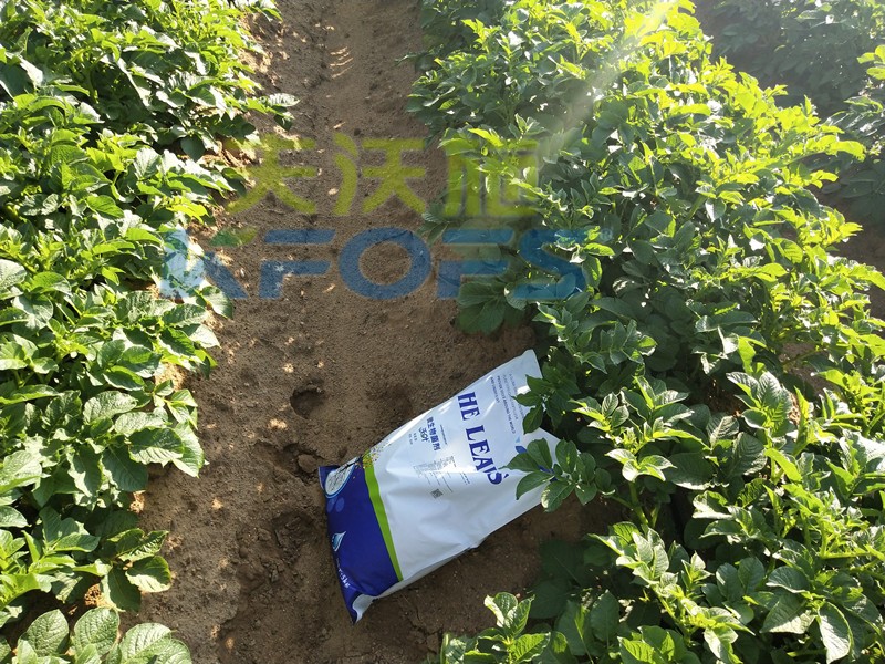 8年種植經(jīng)驗老農(nóng)說，種土豆用什么肥料好！